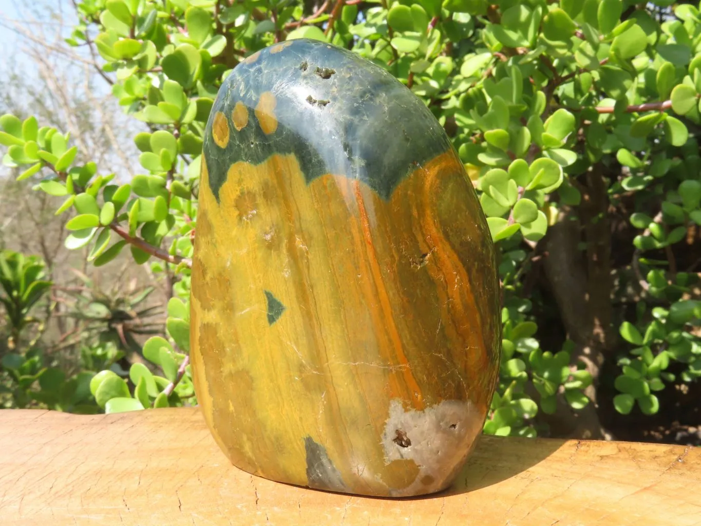 Polished Ocean Jasper Standing Free Form x 1 From Madagascar