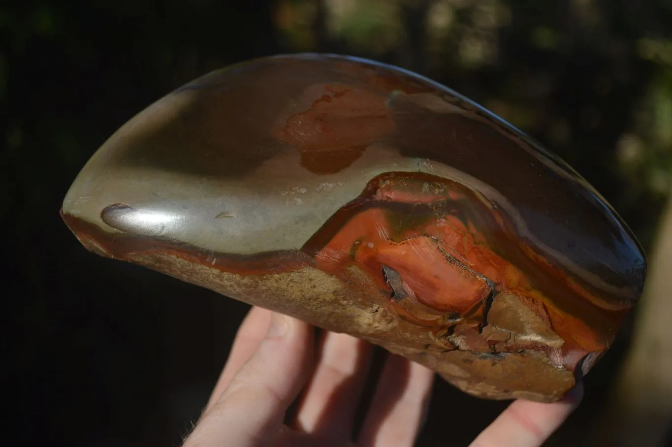 Polished One Side Polished Polychrome Jasper Standing Free Form  x 1 From Madagascar