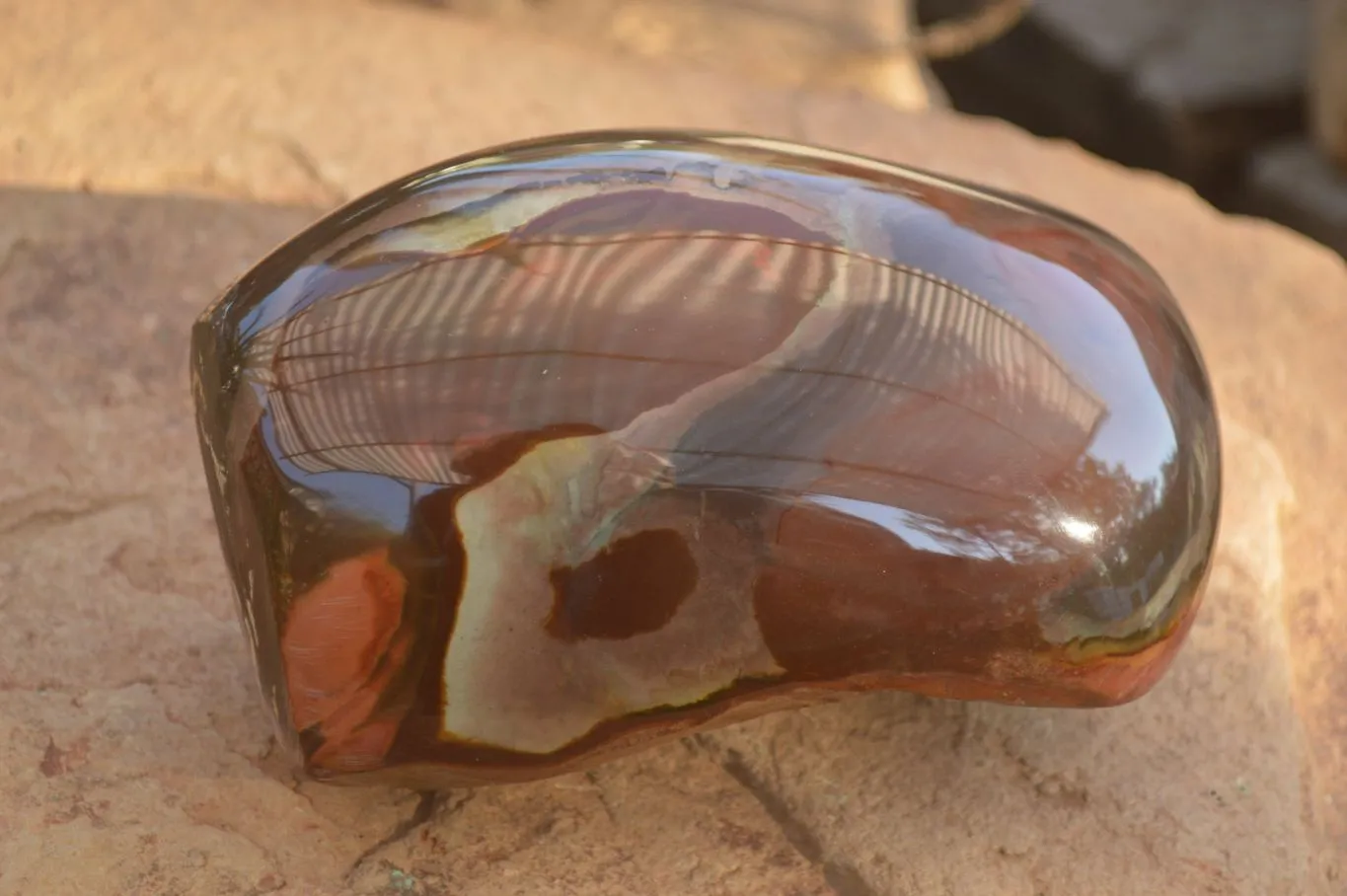 Polished One Side Polished Polychrome Jasper Standing Free Form  x 1 From Madagascar