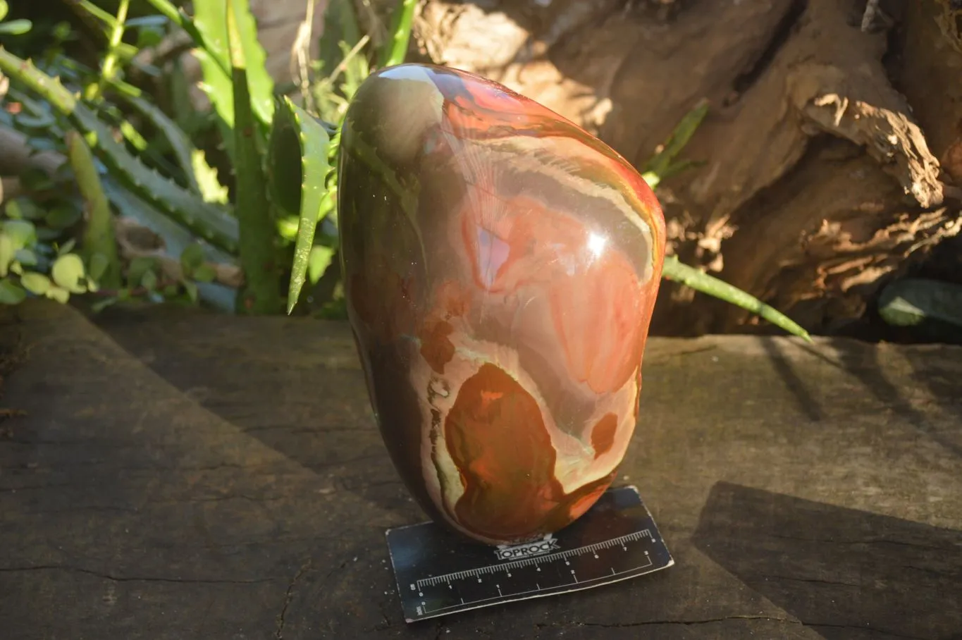 Polished One Side Polished Polychrome Jasper Standing Free Form  x 1 From Madagascar