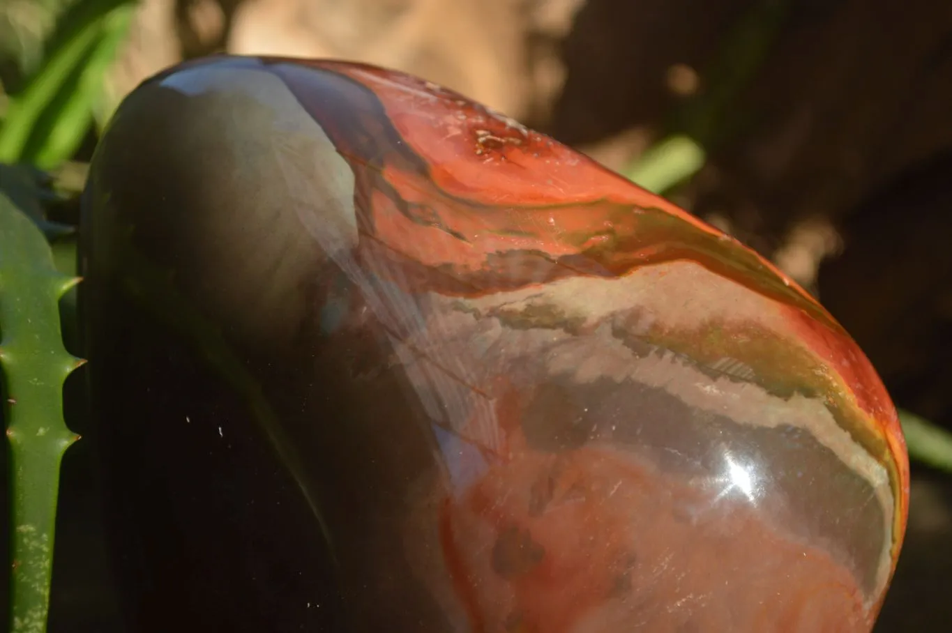 Polished One Side Polished Polychrome Jasper Standing Free Form  x 1 From Madagascar