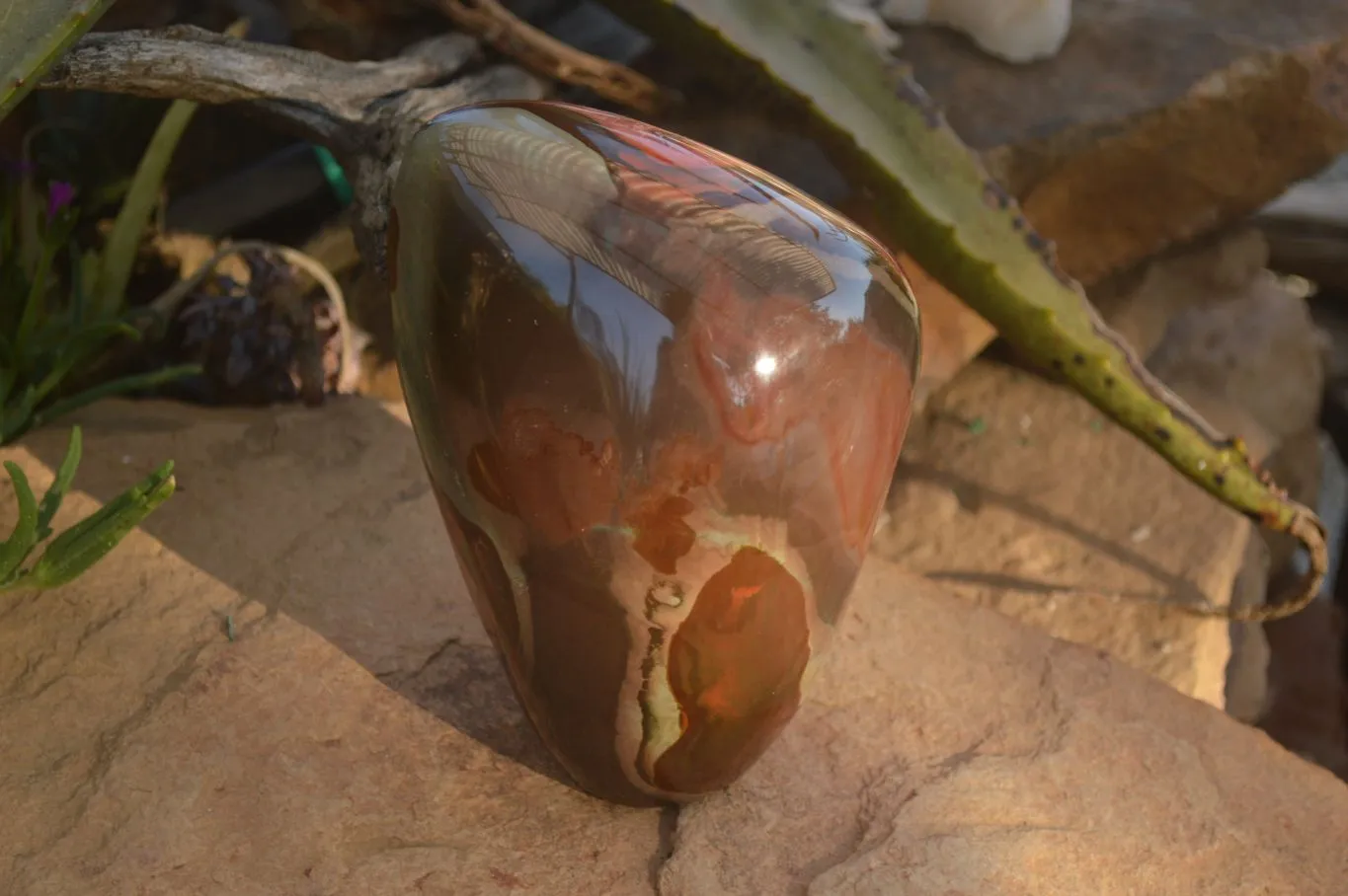 Polished One Side Polished Polychrome Jasper Standing Free Form  x 1 From Madagascar