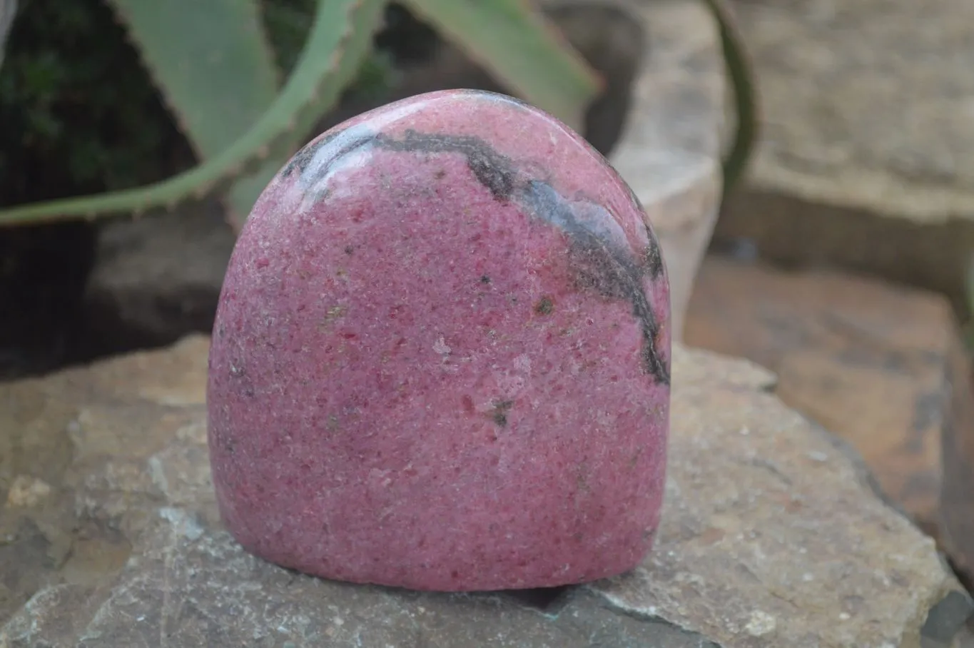 Polished Pink Rhodonite Standing Free Form x 1 From Madagascar