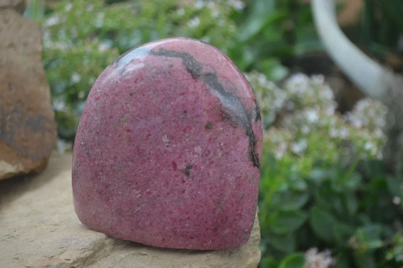 Polished Pink Rhodonite Standing Free Form x 1 From Madagascar