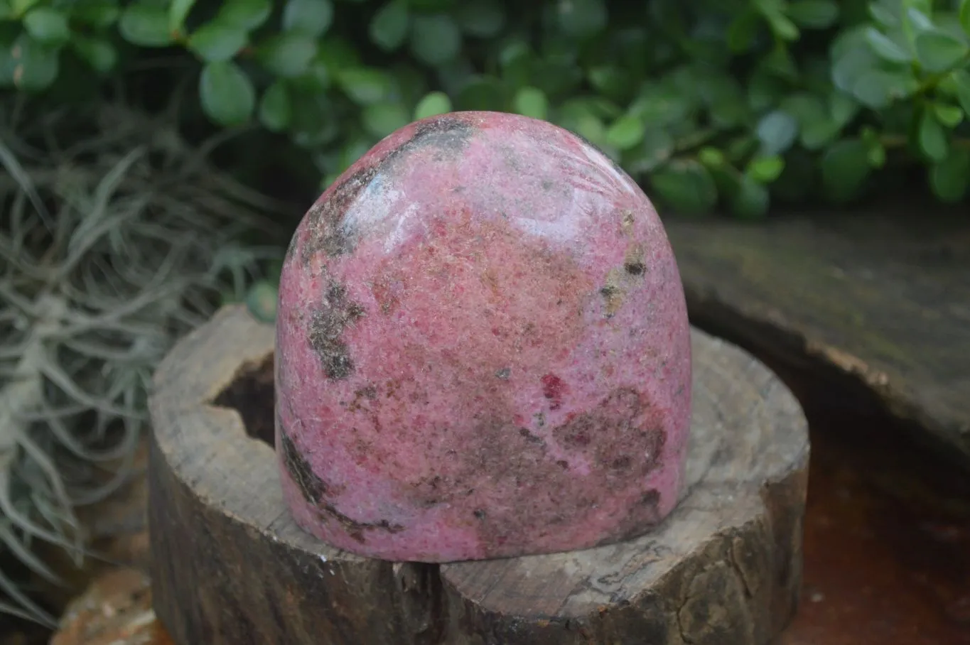 Polished Pink Rhodonite Standing Free Form x 1 From Madagascar