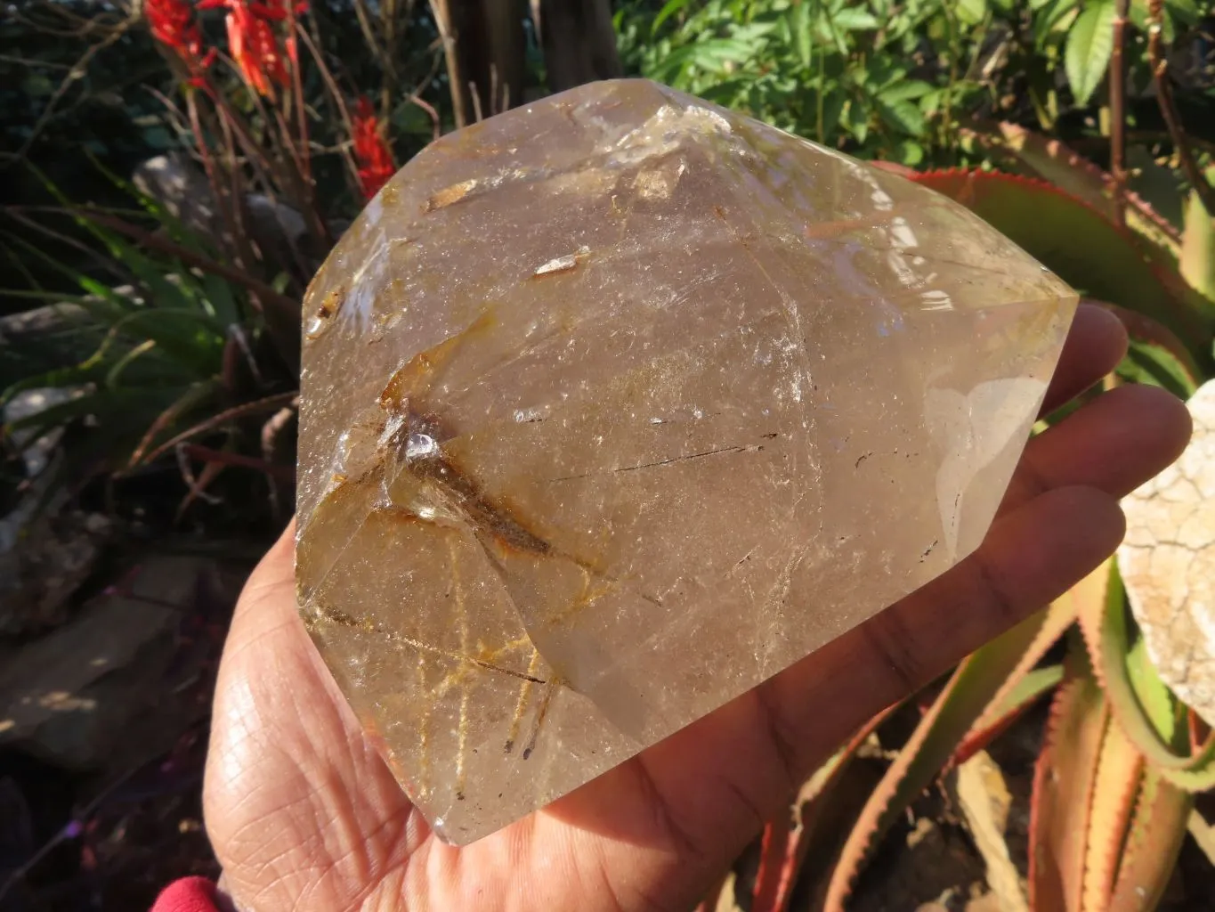 Polished Rutilated Quartz Crystal x 1 From Madagascar