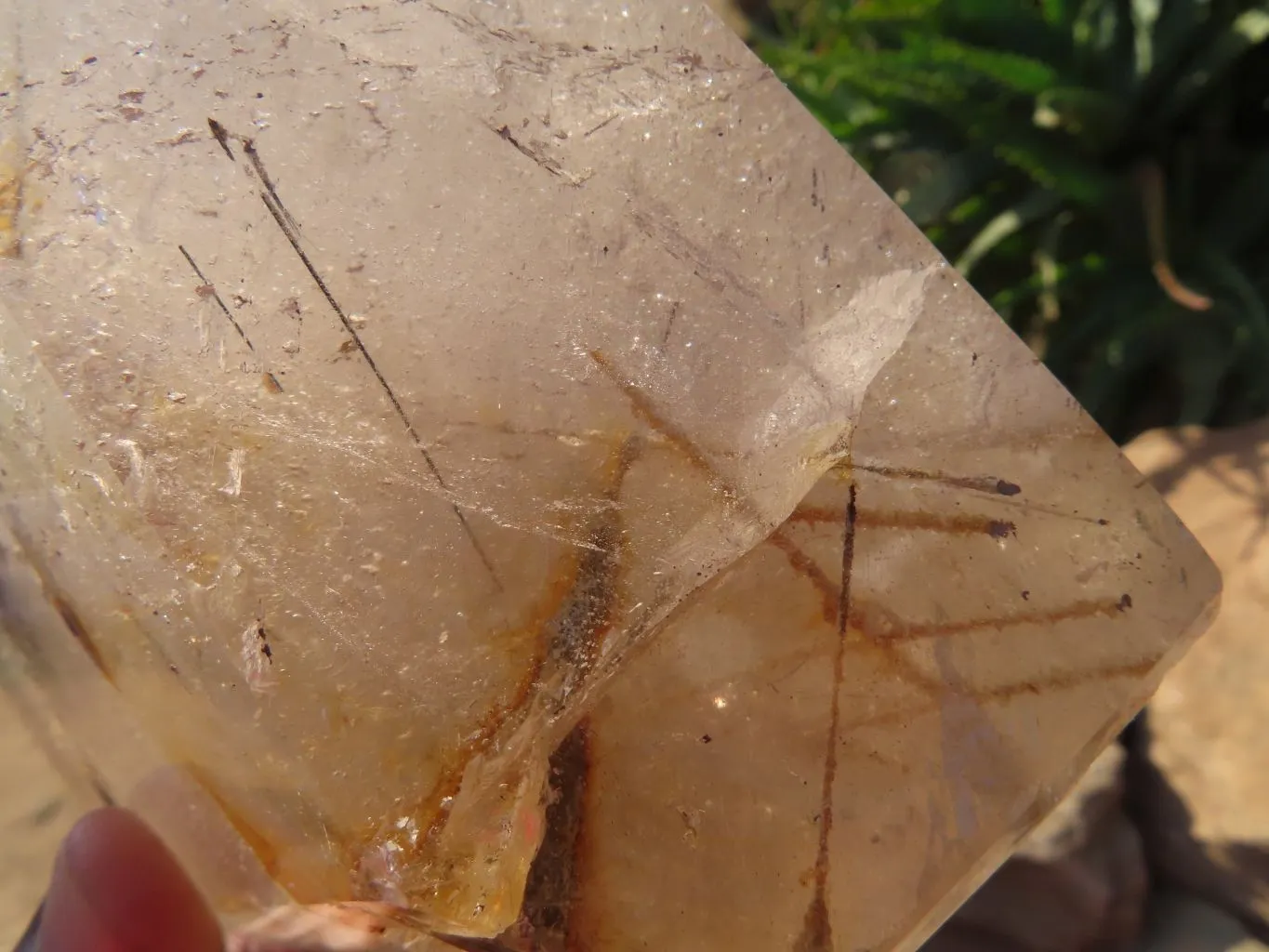 Polished Rutilated Quartz Crystal x 1 From Madagascar