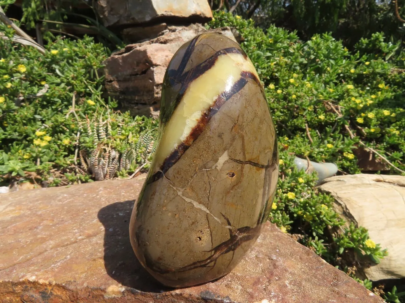 Polished Septerye Standing Free Form x 1 From Mahajanga, Madagascar