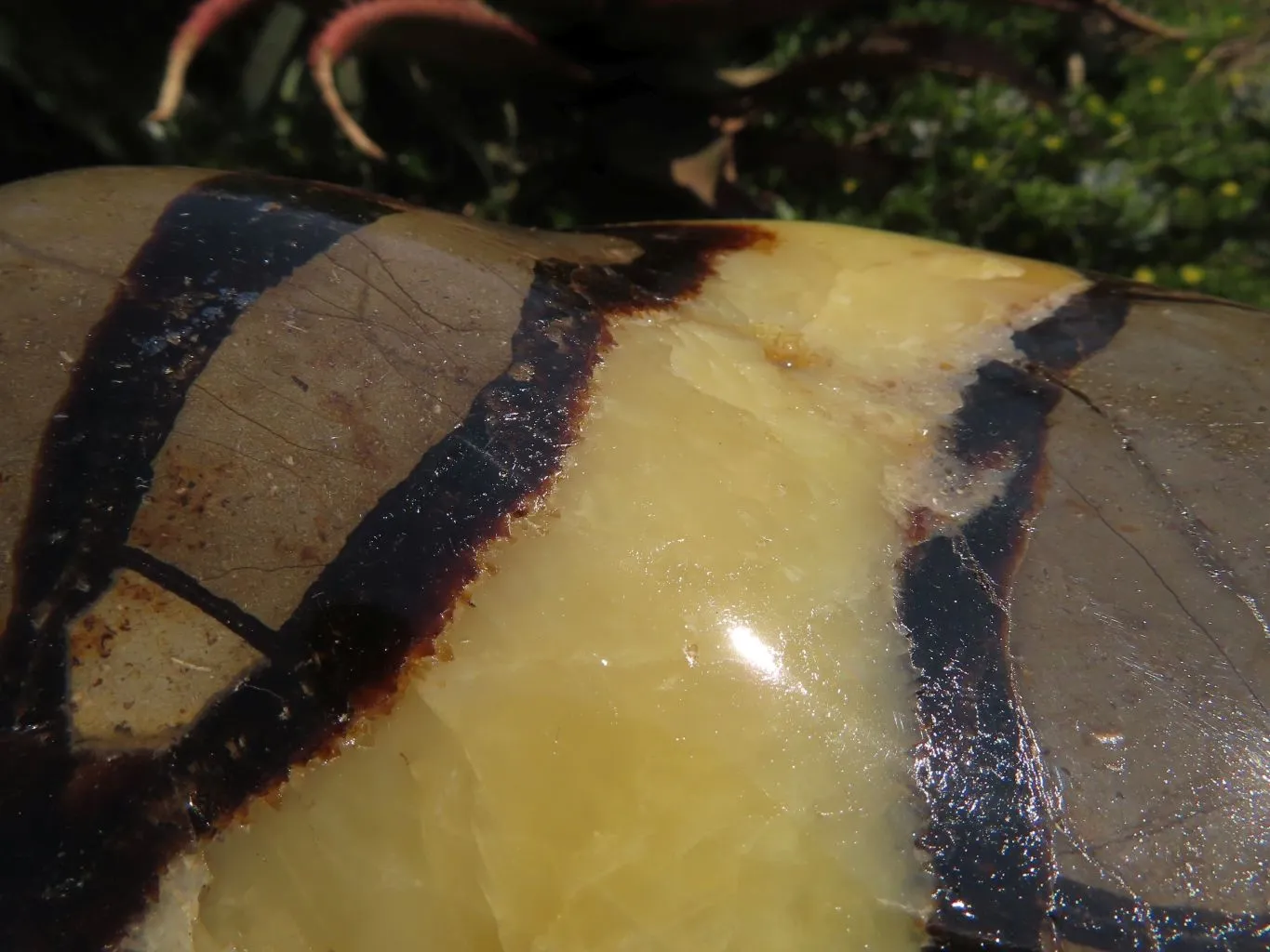 Polished Septerye Standing Free Form x 1 From Mahajanga, Madagascar