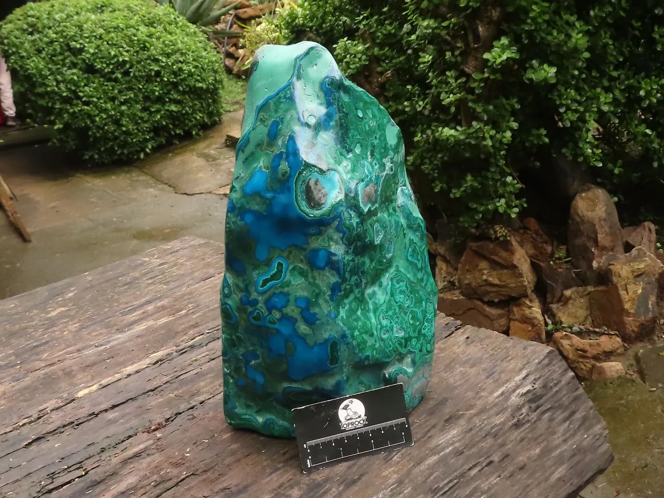 Polished Stunning Extra Large Blue Malacholla Display Piece  x 1 From Congo