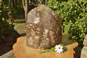 Polished XXL Elestial Smokey Window Quartz Crystal With Cascading Tabular Crystals x 1 From Madagascar