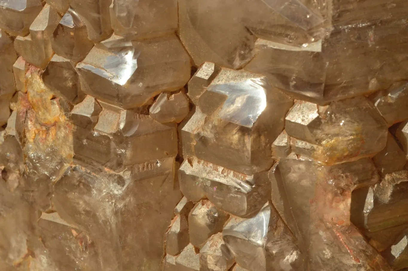 Polished XXL Elestial Smokey Window Quartz Crystal With Cascading Tabular Crystals x 1 From Madagascar