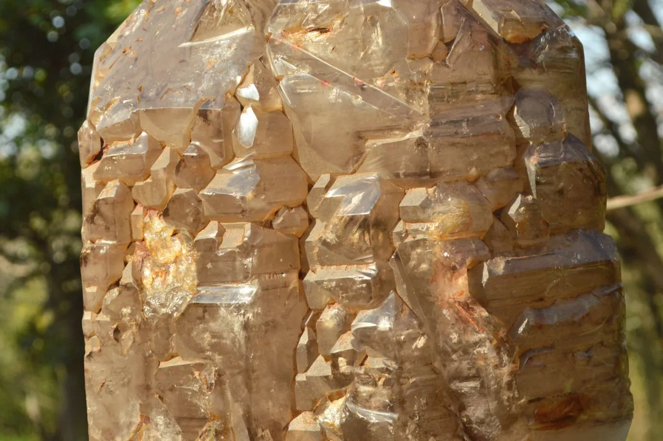 Polished XXL Elestial Smokey Window Quartz Crystal With Cascading Tabular Crystals x 1 From Madagascar