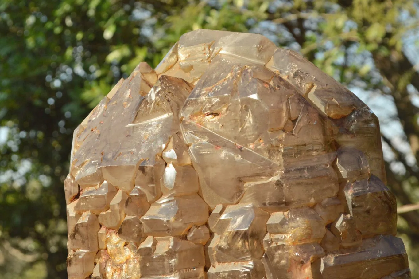 Polished XXL Elestial Smokey Window Quartz Crystal With Cascading Tabular Crystals x 1 From Madagascar