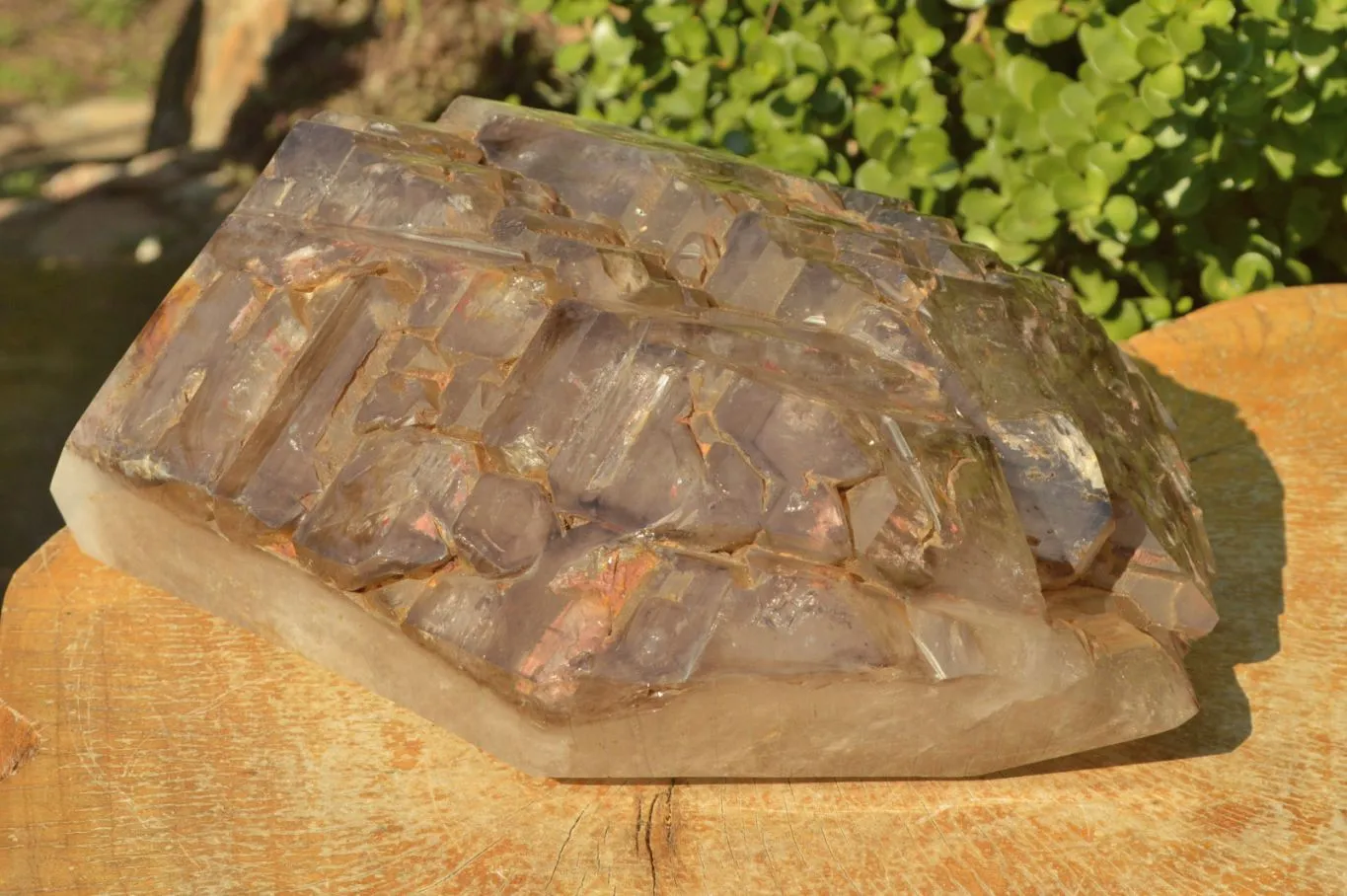 Polished XXL Elestial Smokey Window Quartz Crystal With Cascading Tabular Crystals x 1 From Madagascar