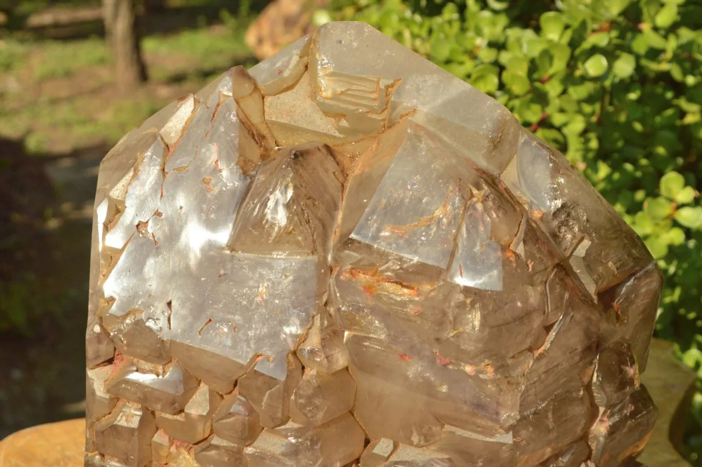 Polished XXL Elestial Smokey Window Quartz Crystal With Cascading Tabular Crystals x 1 From Madagascar