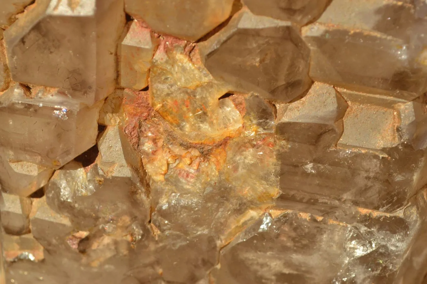 Polished XXL Elestial Smokey Window Quartz Crystal With Cascading Tabular Crystals x 1 From Madagascar