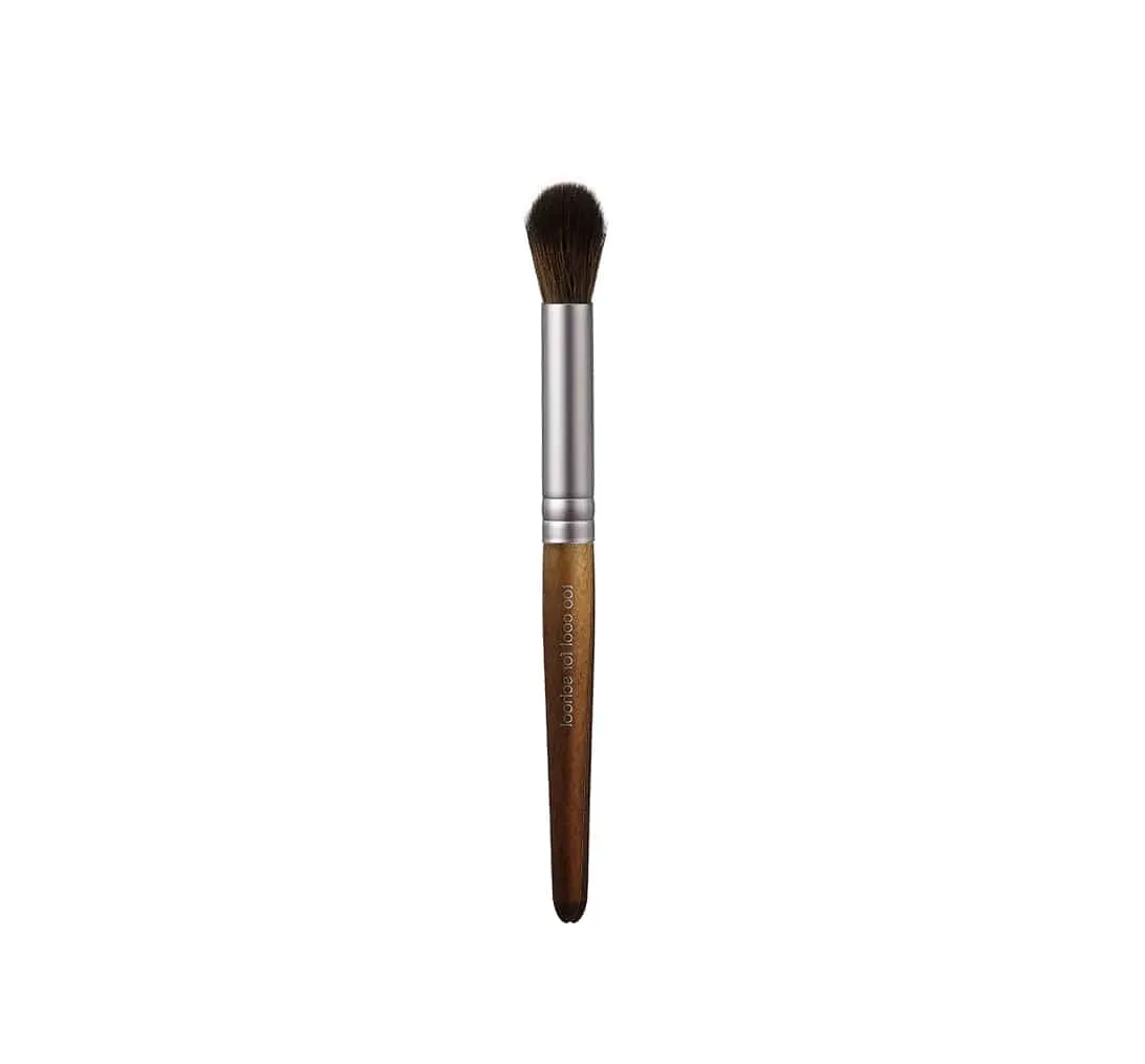 Too Cool For School Artclass Vegan Brush Kit