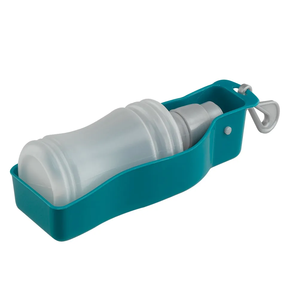 Travel water bottle