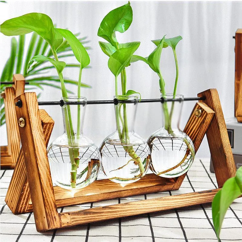 Unique Glass Planters